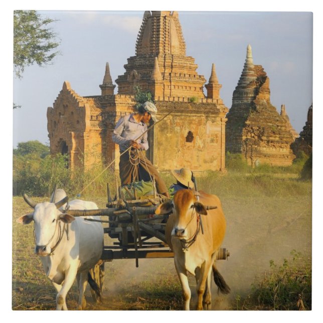 Asia, Myanmar (Burma), Bagan (Pagan). A cart is Ceramic Tile (Front)