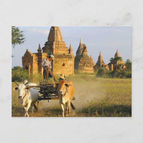 Asia Myanmar Burma Bagan Pagan A cart is Postcard