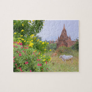 Asia, Myanmar (Burma), Bagan (Pagan). Cows Jigsaw Puzzle
