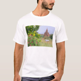 Asia, Myanmar (Burma), Bagan (Pagan). Cows T-Shirt