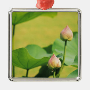 Asia, Thailand, Bangkok. Grand Palace, lotus Metal Ornament