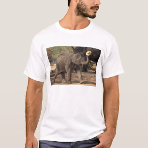 Asia, Thailand, Lampang Bowing with hat - Thai T-Shirt