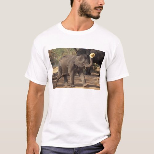 Asia Thailand Lampang Bowing with hat _ Thai T_Shirt