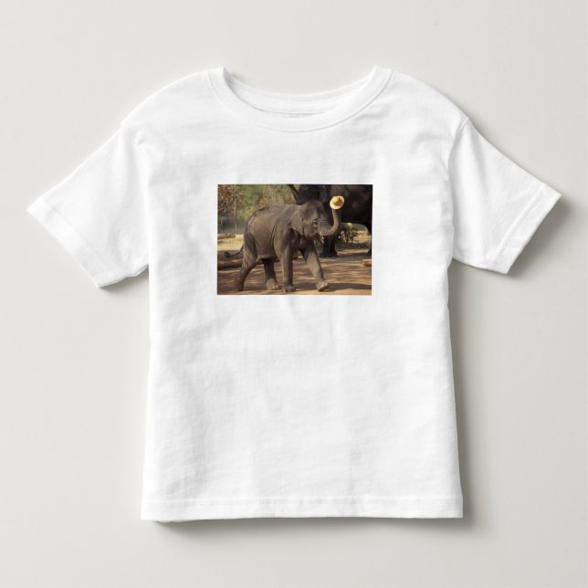 Asia, Thailand, Lampang Bowing with hat - Thai Toddler T-shirt (Front)