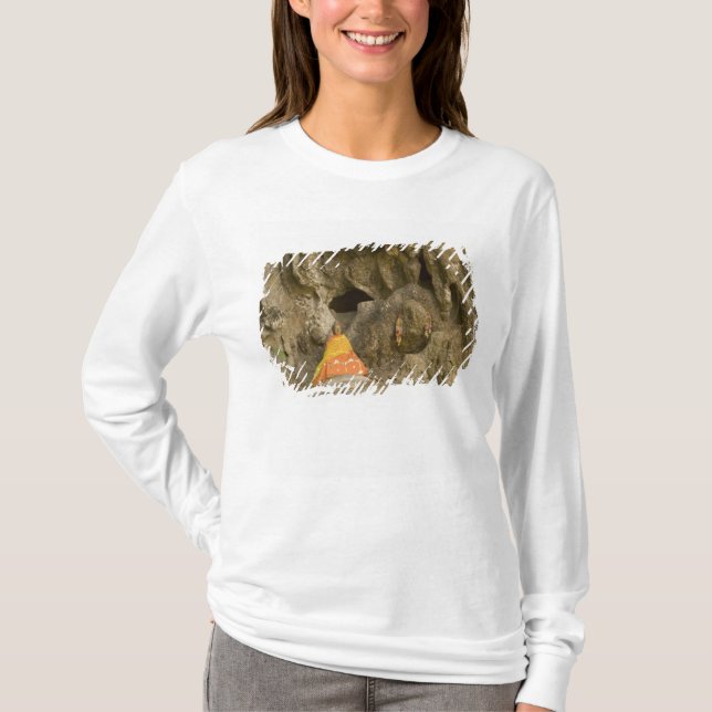 Asia, Thailand, Mae Hong Son, Buddha Images T-Shirt (Front)
