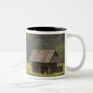 Asia, Thailand, Mae Hong Son, Rice huts in the Two-Tone Coffee Mug