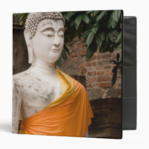 Asia, Thailand, Siam, Buddha at Ayutthaya Binder
