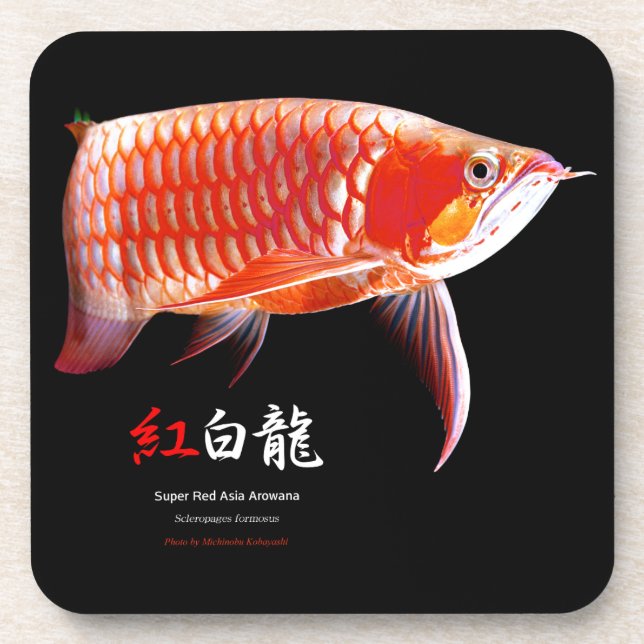 Asian Arowana の優良製品 Beverage Coaster (Front)