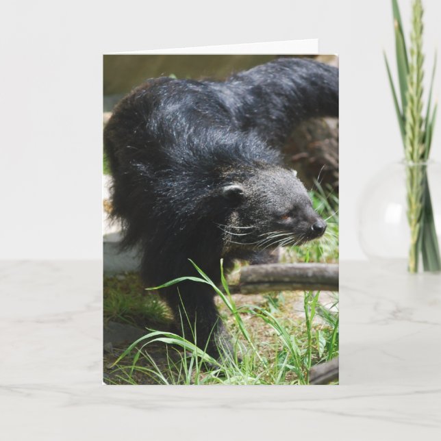 Asian Bearcat Greeting Card (Front)
