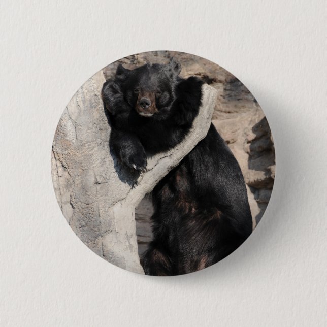Asian Black Bear Pinback Button (Front)