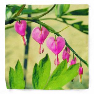Asian Bleeding Heart Lamprocapnos Flower Bandana