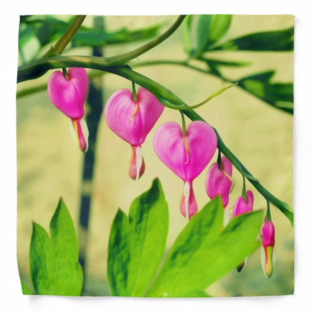 Asian Bleeding Heart Lamprocapnos Flower Bandana (Front)