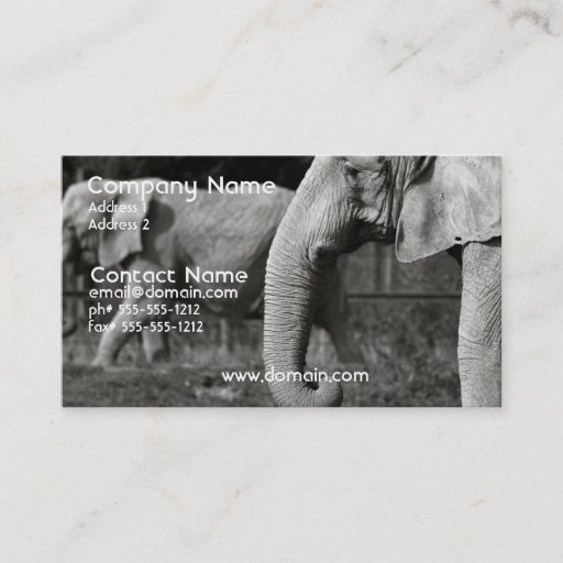 Customizable Asian Elephant Business Card