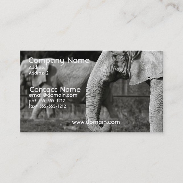 Asian Elephant Business Card (Front)