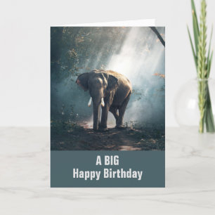 Asian Elephant in a Sunlit Forest Birthday Card