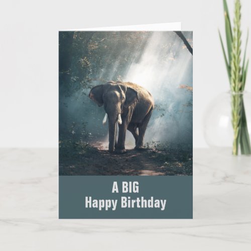 Asian Elephant in a Sunlit Forest Birthday Card