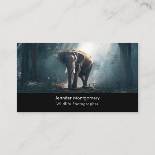 Asian Elephant in a Sunlit Forest Clearing Business Card