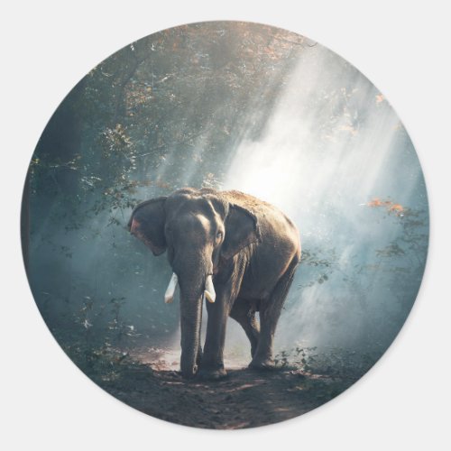 Asian Elephant in a Sunlit Forest Clearing Classic Round Sticker