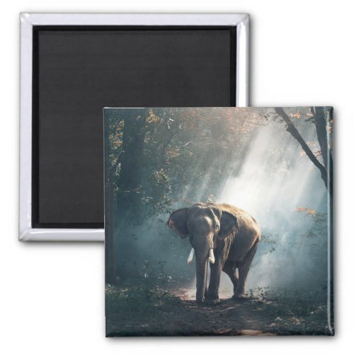 Asian Elephant in a Sunlit Forest Clearing Magnet