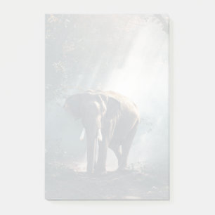Asian Elephant in a Sunlit Forest Clearing Post-it Notes