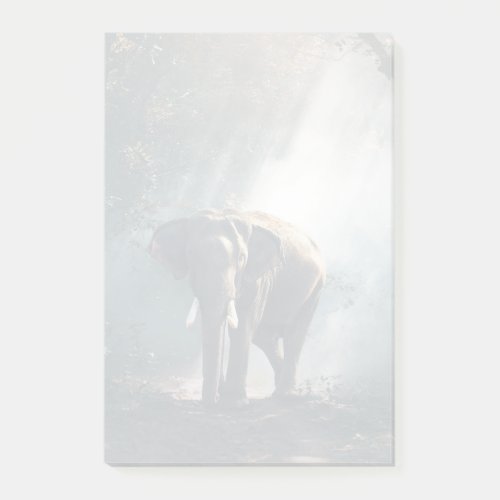 Asian Elephant in a Sunlit Forest Clearing Post_it Notes