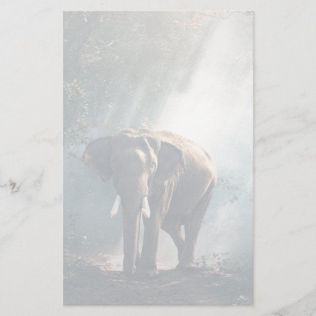 Asian Elephant in a Sunlit Forest Clearing Stationery (Front)