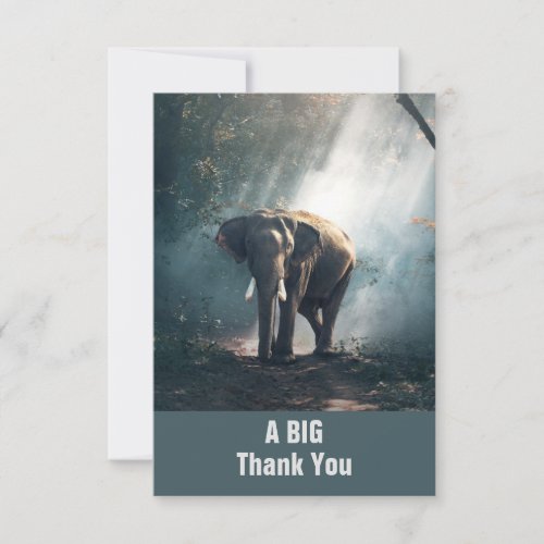 Asian Elephant in a Sunlit Forest Thank You