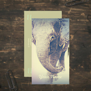 Asian Elephant in Vintage Colors Business Card