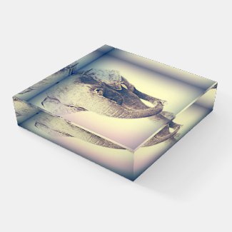 Asian Elephant in Vintage Colors