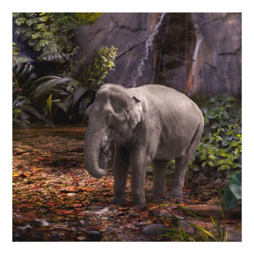 Asian Elephant RAIN FOREST PARTY Photo Print