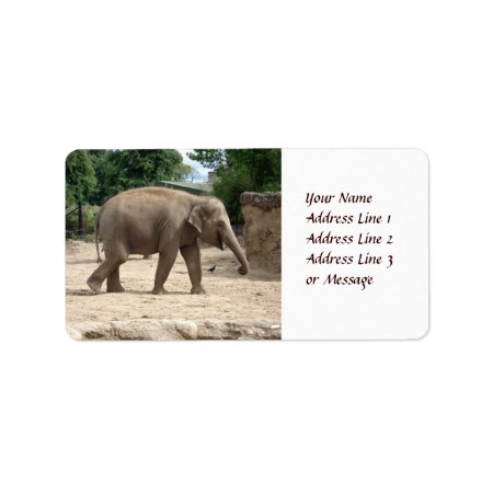 Asian Elephant Walking On Sand Adhesive Label