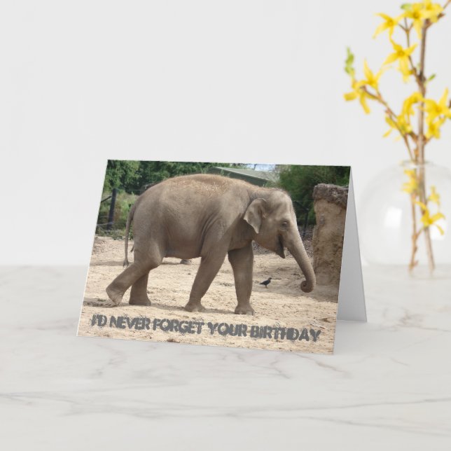 Asian Elephant Walking On Sand Birthday Card (Yellow Flower)