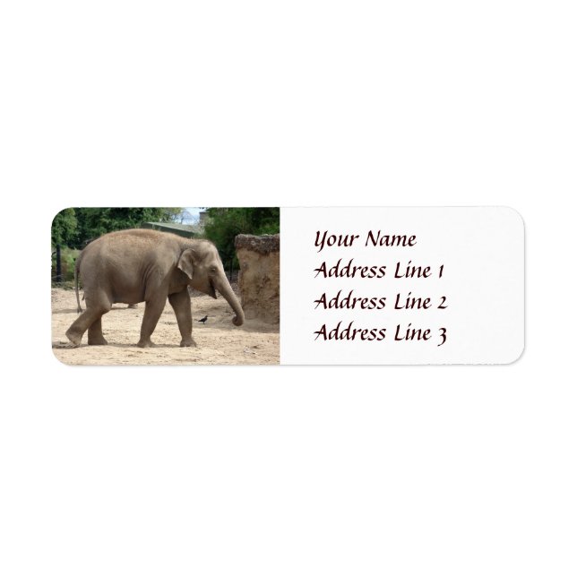Asian Elephant Walking On Sand Return Address Label (Front)