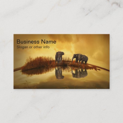 Asian Elephants in Thailand under a glowing sunset Business Card