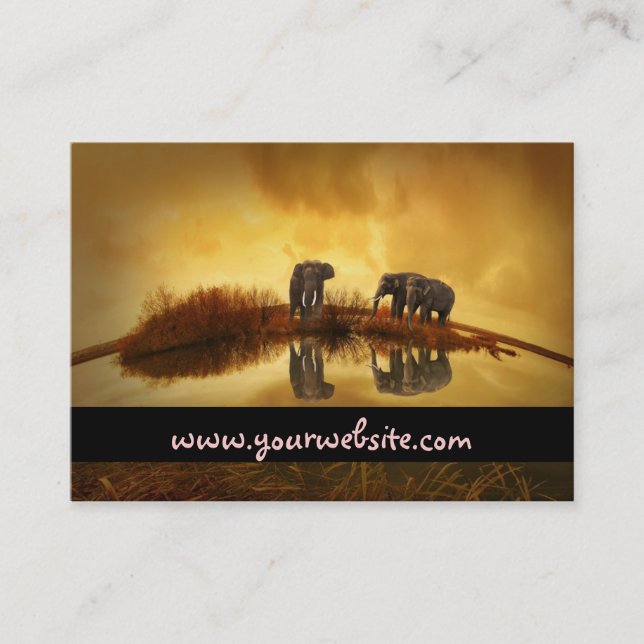 Asian Elephants in Thailand under a glowing sunset Business Card (Front)