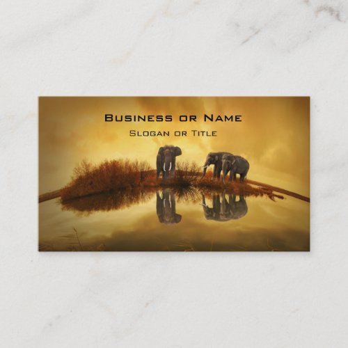 Asian Elephants in Thailand under a glowing sunset Business Card