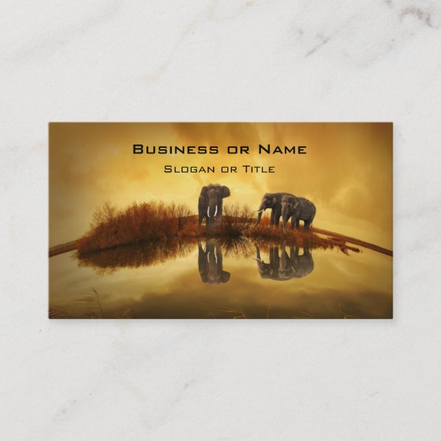 Asian Elephants in Thailand under a glowing sunset Business Card (Front)