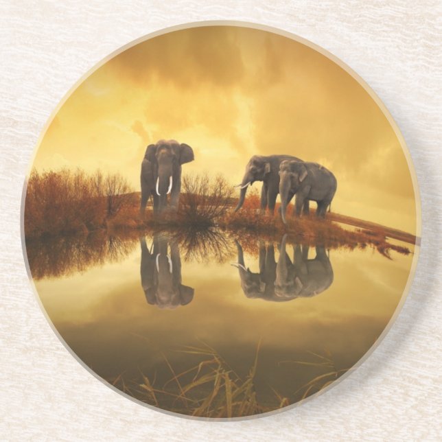 Asian Elephants in Thailand under a glowing sunset Coaster (Front)