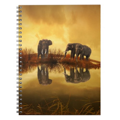 Asian Elephants in Thailand under a glowing sunset Notebook