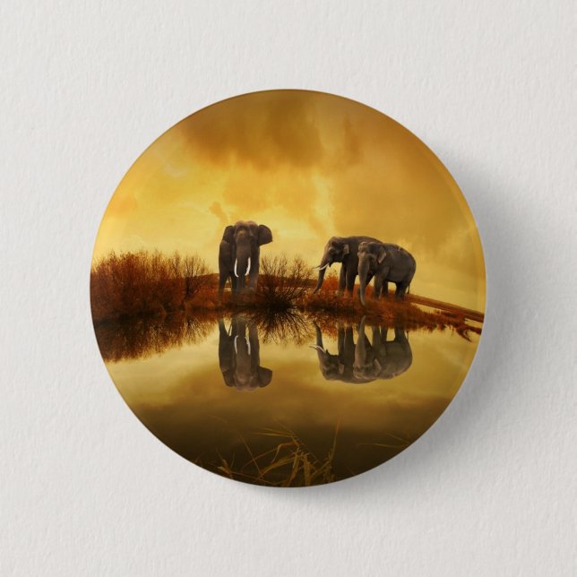 Asian Elephants in Thailand under a glowing sunset Pinback Button (Front)