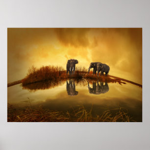 Asian Elephants in Thailand under a glowing sunset Poster