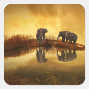 Asian Elephants in Thailand under a glowing sunset Square Sticker
