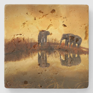 Asian Elephants in Thailand under a glowing sunset Stone Coaster