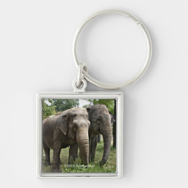 Asian Elephants Side by Side Keychain (Front)
