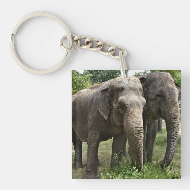Asian Elephants Side by Side Keychain (Front)