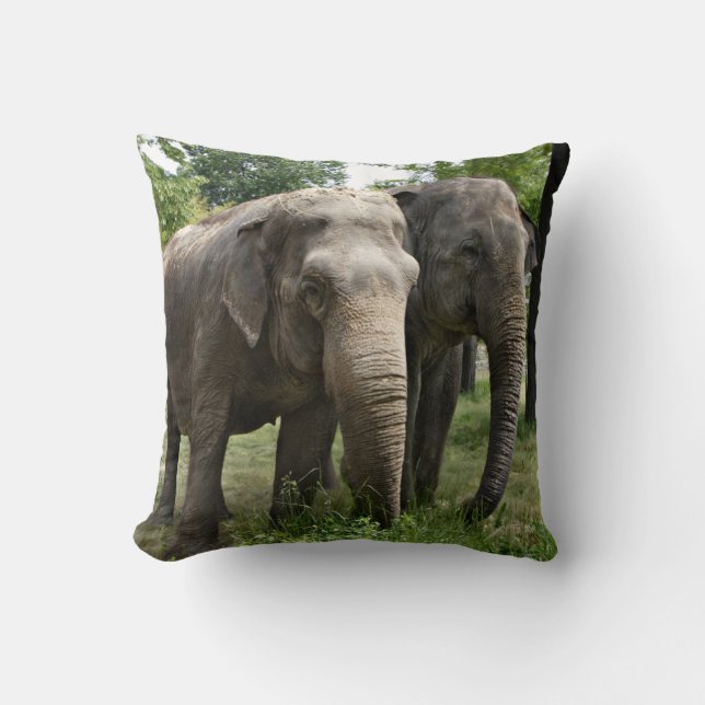 Asian Elephants Side by Side Throw Pillow (Front)