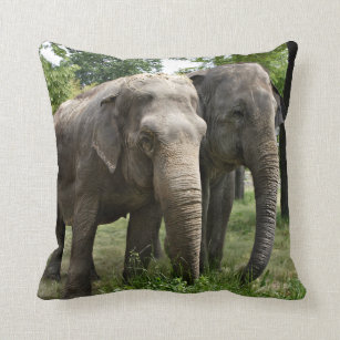 Asian Elephants Side by Side Throw Pillow
