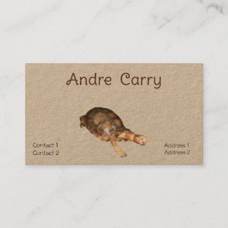 Asian  Forest Tortoise rustic Kraft paper