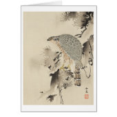 Asian Goshawk - 1890 (Front)