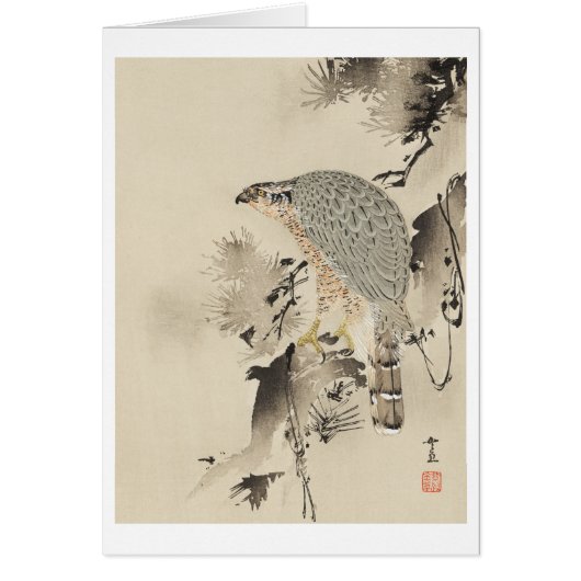 Asian Goshawk - 1890 Cards (Front)